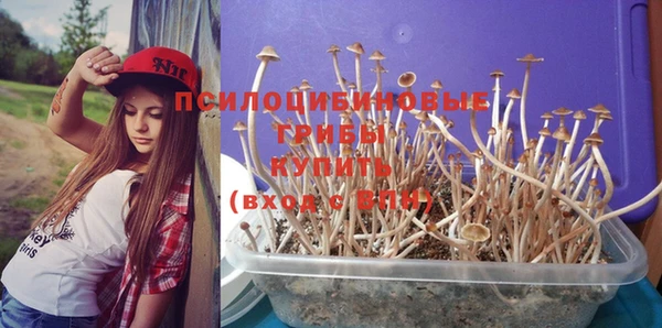 Альфа ПВП Пионерский