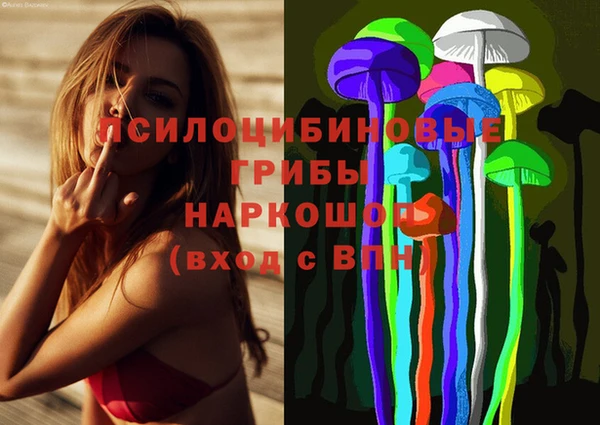 ALPHA PVP Пикалёво