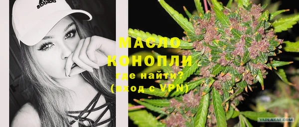 Альфа ПВП Пионерский