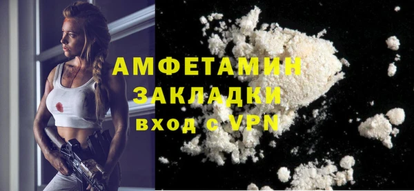индика Павлово