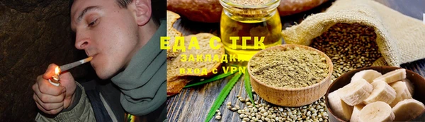 Альфа ПВП Пионерский